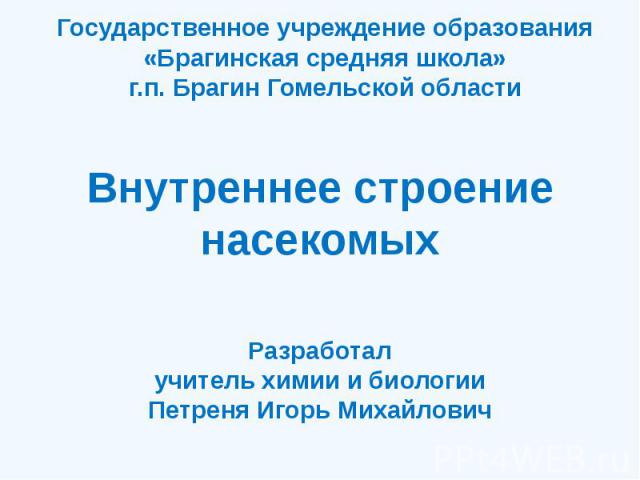 Внутреннее строение насекомыхРазработалучитель химии и биологииПетреня Игорь Михайлович