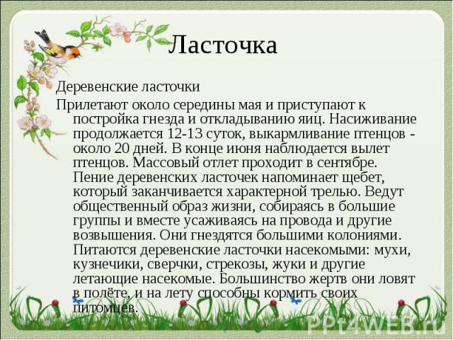 Ласточка Деревенские ласточки Прилетают около середины мая и приступают к постройка гнезда и откладыванию яиц. Насиживание продолжается 12-13 суток, выкармливание птенцов - около 20 дней. В конце июня наблюдается вылет птенцов. Массовый отлет проход…