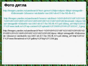 http://images.yandex.ru/yandsearch?source=wiz&text=%D0%B4%D1%8F%D1%82%D0%B5%D0%B
