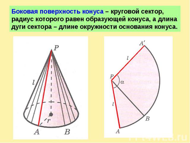 Боковая поверхность конуса – круговой сектор, радиус которого равен образующей конуса, а длина дуги сектора – длине окружности основания конуса.