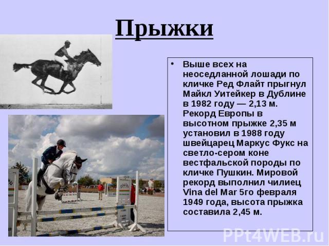 Выше всех на неоседланной лошади по кличке Ред Флайт прыгнул Майкл Уитейкер в Дублине в 1982 году — 2,13 м. Рекорд Европы в высотном прыжке 2,35 м установил в 1988 году швейцарец Маркус Фукс на светло-сером коне вестфальской породы по кличке Пушкин.…