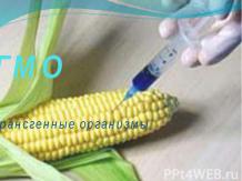 ГМО. Трансгенные организмы