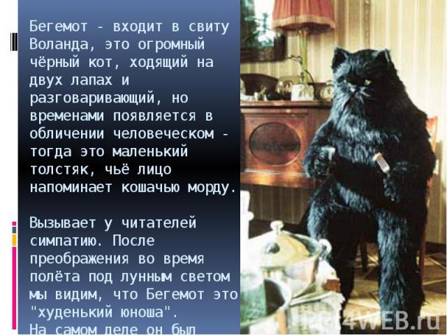 Бегемот - входит в свиту Воланда, это огромный чёрный кот, ходящий на двух лапах и разговаривающий, но временами появляется в обличении человеческом - тогда это маленький толстяк, чьё лицо напоминает кошачью морду. Вызывает у читателей симпатию. Пос…