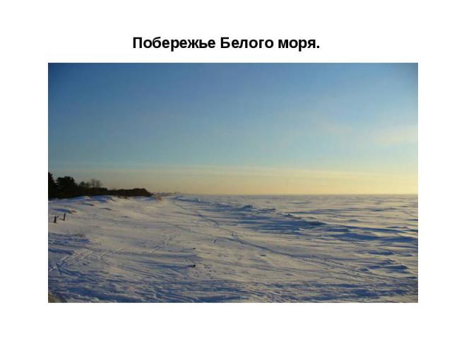 Побережье Белого моря.