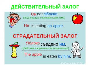 ДЕЙСТВИТЕЛЬНЫЙ ЗАЛОГ ест яблоко. (Подлежащее совершает действие) is eating an ap