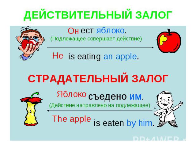 ДЕЙСТВИТЕЛЬНЫЙ ЗАЛОГ ест яблоко. (Подлежащее совершает действие) is eating an apple.СТРАДАТЕЛЬНЫЙ ЗАЛОГ съедено им. (Действие направлено на подлежащее) is eaten by him.