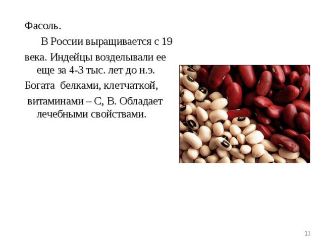 Фасоль. В России выращивается с 19века. Индейцы возделывали ее еще за 4-3 тыс. лет до н.э.Богата белками, клетчаткой, витаминами – С, В. Обладает лечебными свойствами.