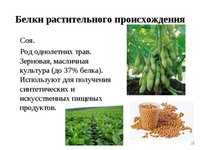 Белки растительного происхождения Соя. Род однолетних трав. Зерновая, масличная культура (до 37% белка). Используют для получения синтетических и искусственных пищевых продуктов.