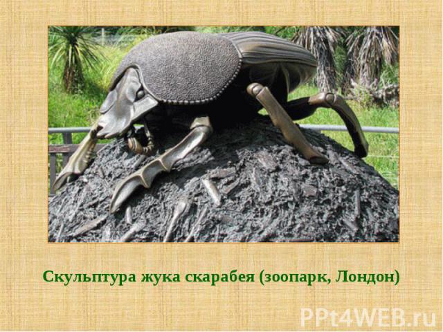 Скульптура жука скарабея (зоопарк, Лондон)