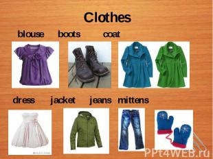 Clothes blouse boots coat dress jacket jeans mittens
