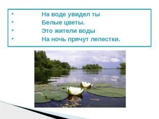 На воде увидел ты На воде увидел ты Белые цветы. Это жители воды На ночь прячут