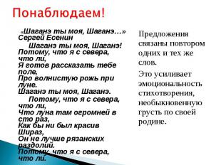 «Шаганэ ты моя, Шаганэ…» Сергей Есенин Шаганэ ты моя, Шаганэ!Потому, что я с сев