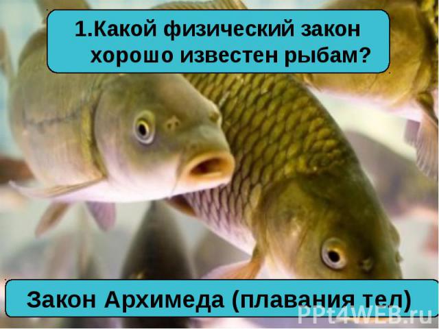 Какой физический закон хорошо известен рыбам?Закон Архимеда (плавания тел)