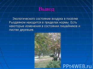 Экологического состояние воздуха в посёлке Рыздвяном находится в пределах нормы.