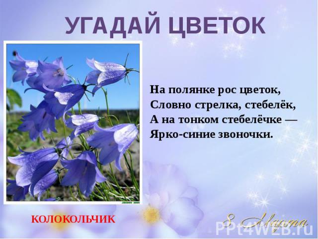 УГАДАЙ ЦВЕТОКНа полянке рос цветок,Словно стрелка, стебелёк,А на тонком стебелёчке —Ярко-синие звоночки.