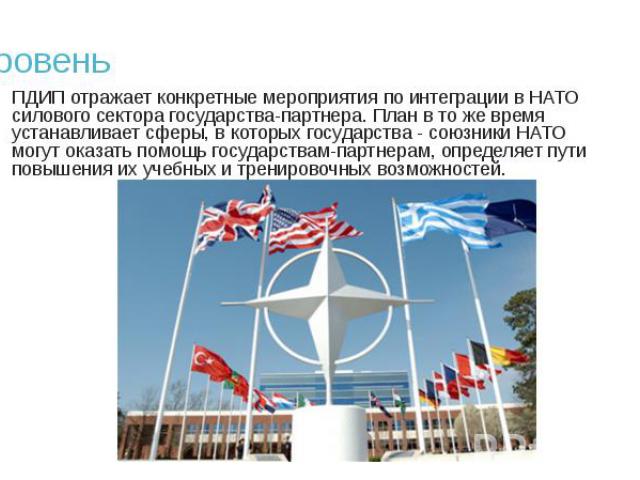 ПДИП отражает конкретные мероприятия по интеграции в НАТО силового сектора государства-партнера. План в то же время устанавливает сферы, в которых государства - союзники НАТО могут оказать помощь государствам-партнерам, определяет пути повышения их …