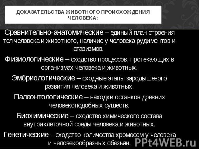 ДОКАЗАТЕЛЬСТВА ЖИВОТНОГО ПРОИСХОЖДЕНИЯ ЧЕЛОВЕКА: Сравнительно-анатомические – единый план строения тел человека и животного, наличие у человека рудиментов и атавизмов. Физиологические – сходство процессов, протекающих в организмах человека и животны…