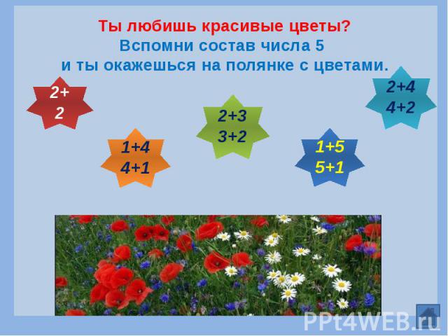 Ты любишь красивые цветы? Вспомни состав числа 5 и ты окажешься на полянке с цветами.