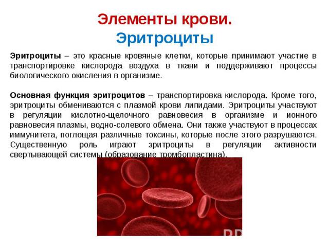 Элементы крови. Эритроциты Эритроциты – это красные кровяные клетки, которые принимают участие в транспортировке кислорода воздуха в ткани и поддерживают процессы биологического окисления в организме. Основная функция эритроцитов – транспортировка к…