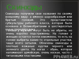 СкинхэдыСкинхэды получили свое название по своему внешнему виду: а именно шарооб