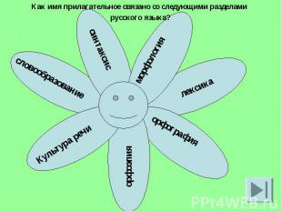 Как имя прилагательное связано со следующими разделами русского языка?