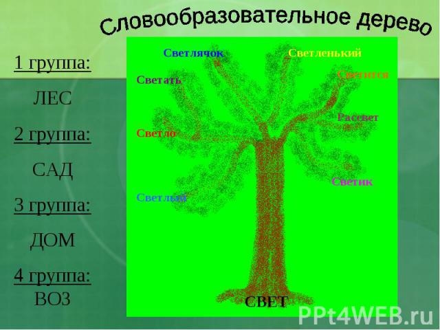 Словообразовательное дерево 1 группа:ЛЕС2 группа:САД3 группа:ДОМ4 группа:ВОЗ