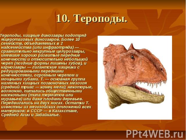 10. Тероподы.      Тероподы, хищные динозавры подотряд ящеротазовых динозавров. Более 10 семейств, объединяемых в 2 надсемейства (или инфраотряда) — сравнительно некрупные целурозавры, имевшие хорошо развитые передние конечности и относительно небол…