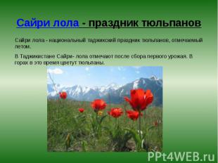 Сайри лола - праздник тюльпанов Сайри лола - национальный таджикский праздник тю