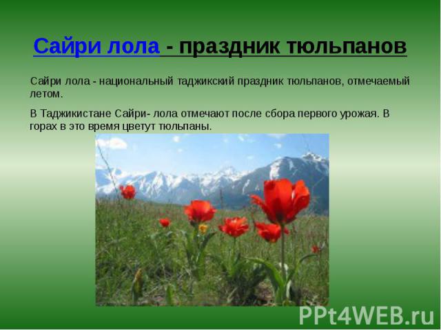 Сайри лола - праздник тюльпанов Сайри лола - национальный таджикский праздник тюльпанов, отмечаемый летом. В Таджикистане Сайри- лола отмечают после сбора первого урожая. В горах в это время цветут тюльпаны.