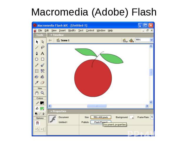 Macromedia (Adobe) Flash