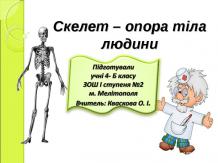 Скелет – опора тіла людини