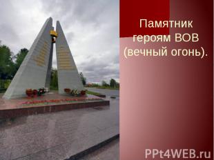 Памятник героям ВОВ (вечный огонь).