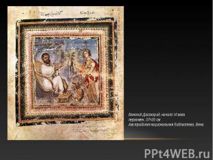 Венский Диоскорид, начало VI века пергамен. 37×30 см Австрийская национальная би