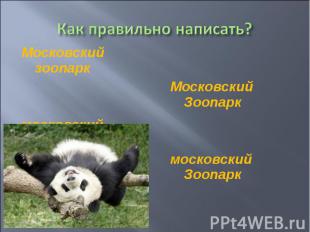 Московский зоопарк Московский зоопарк московский зоопарк