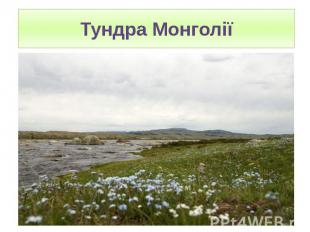 Тундра Монголії
