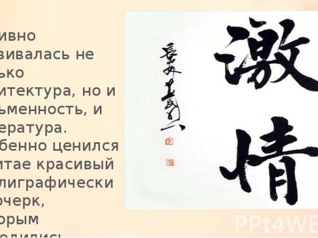 Активно развивалась не только архитектура, но и письменность, и литература. Особенно ценился в Китае красивый каллиграфический почерк, которым выводились многочисленные иероглифы.