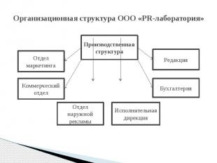 Организационная структура ООО «PR-лаборатория»