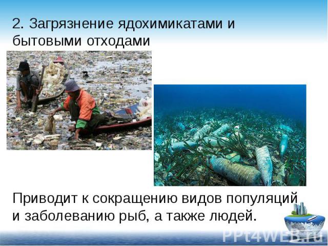 2. Загрязнение ядохимикатами и бытовыми отходами Приводит к сокращению видов популяций и заболеванию рыб, а также людей.
