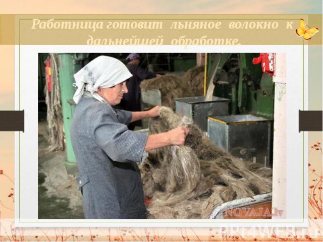 Работница готовит льняное волокно к дальнейшей обработке.
