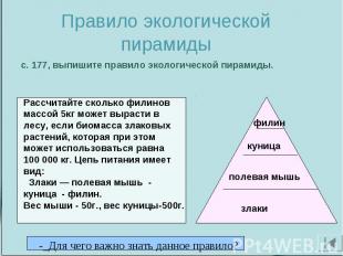 Правило экологической пирамиды с. 177, выпишите правило экологической пирамиды.