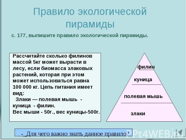 Правило экологической пирамиды с. 177, выпишите правило экологической пирамиды. Рассчитайте сколько филинов массой 5кг может вырасти в лесу, если биомасса злаковых растений, которая при этом может использоваться равна 100 000 кг. Цепь питания имеет …