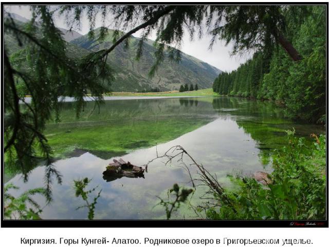 Киргизия. Горы Кунгей- Алатоо. Родниковое озеро в Григорьевском ущелье.