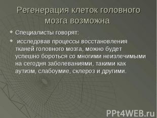 Регенерация клеток головного мозга возможна Специалисты говорят: исследовав проц