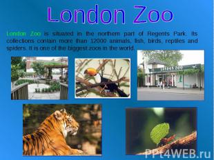 London Zoo London Zoo is situated in the northern part of Regents Park. Its coll