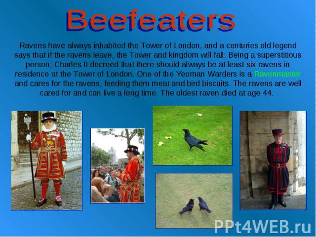 Beefeaters Ravens have always inhabited the Tower of London, and a centuries old legend says that if the ravens leave, the Tower and kingdom will fall. Being a superstitious person, Charles II decreed that there should always be at least six ravens …