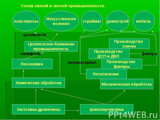Схема связей в лесной промышленности.