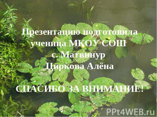 Презентацию подготовила ученица МКОУ СОШ с. Матвинур Циркова Алёна СПАСИБО ЗА ВНИМАНИЕ!