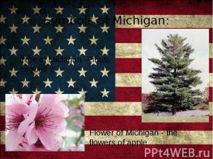 Symbols of Michigan: Tree of Michigan -Pinus strobus Flower of Michigan - the fl