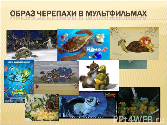 Образ черепахи в мультфильмах