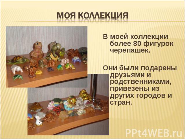 моя коллекция В моей коллекции более 80 фигурок черепашек. Они были подарены друзьями и родственниками, привезены из других городов и стран.